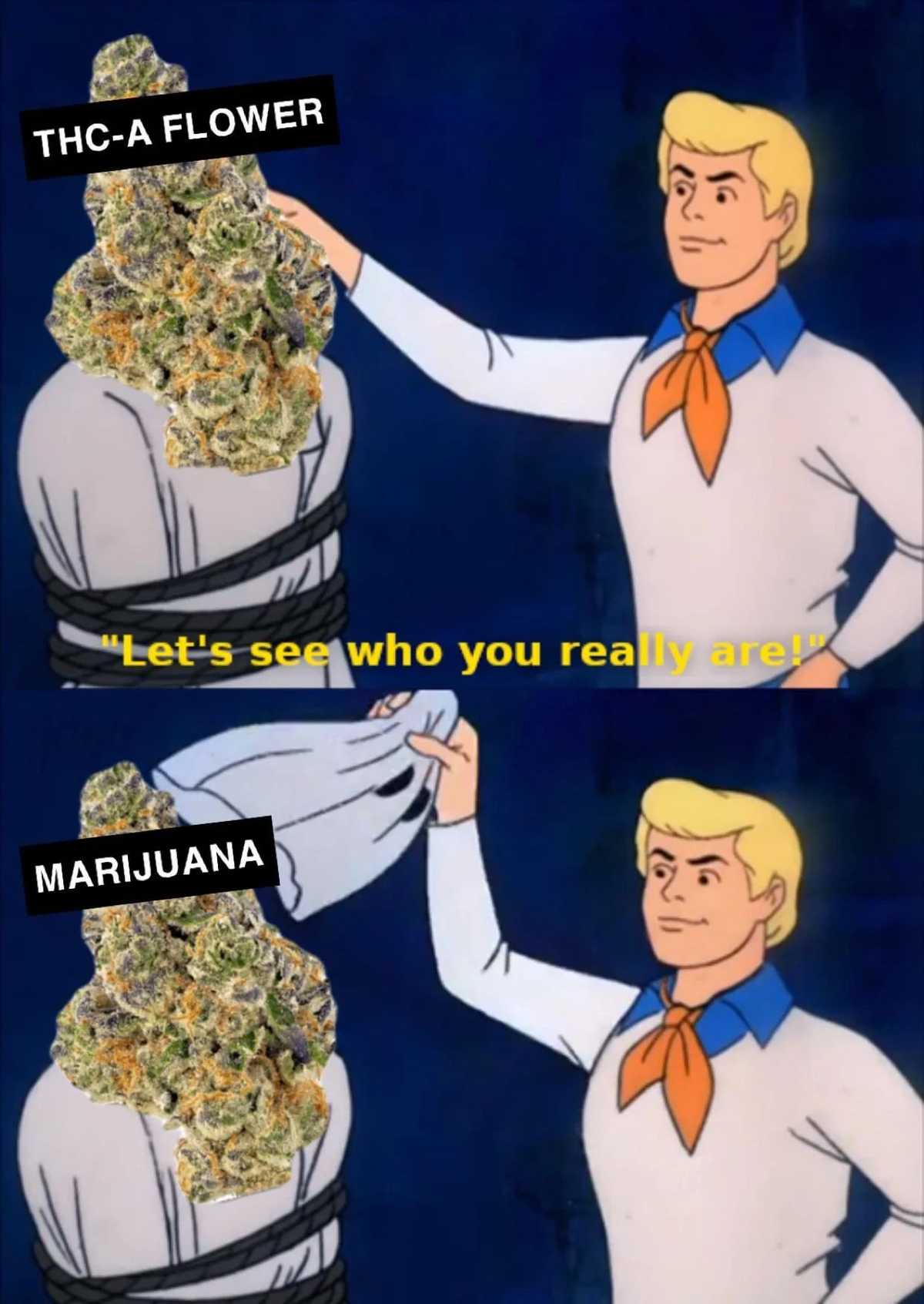 It was you, it was you all along!