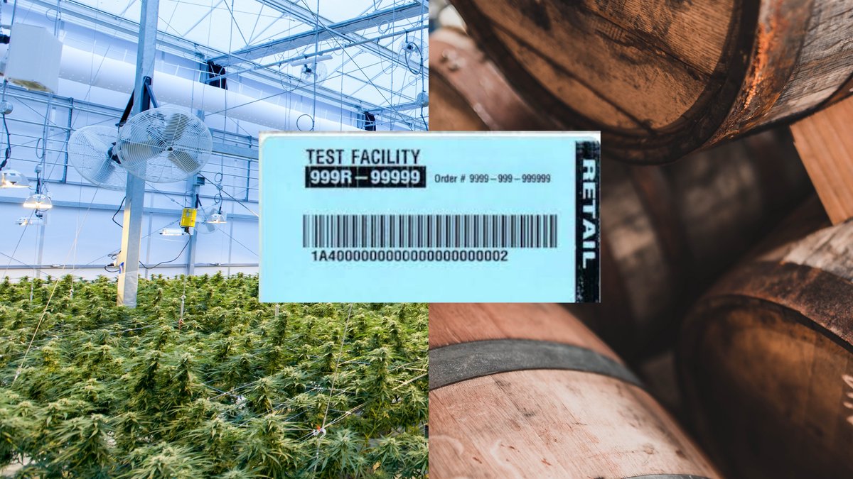 banner image for the article 3 Changes We Want To See In The Cannabis Industry