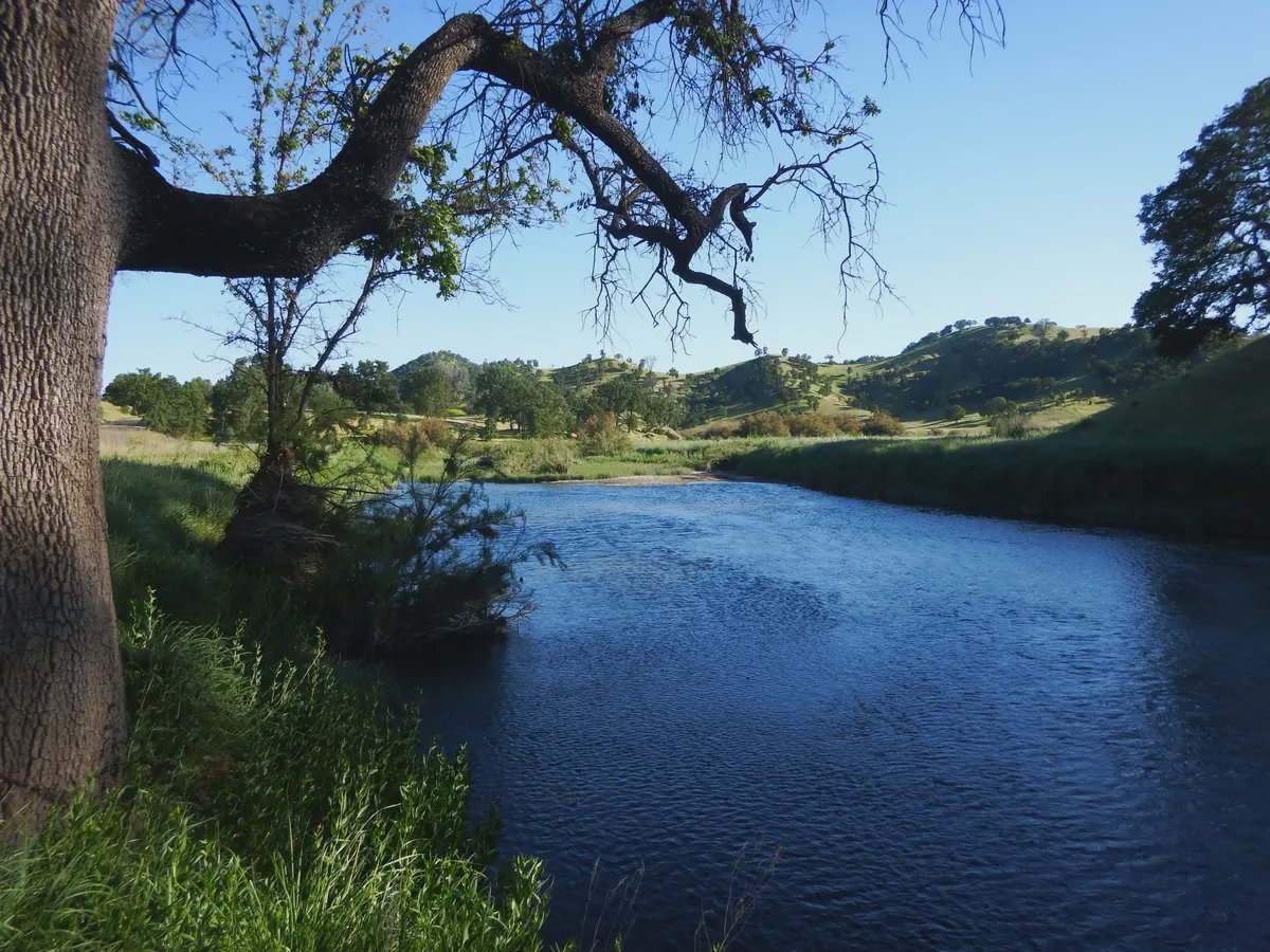 Colusa County header image