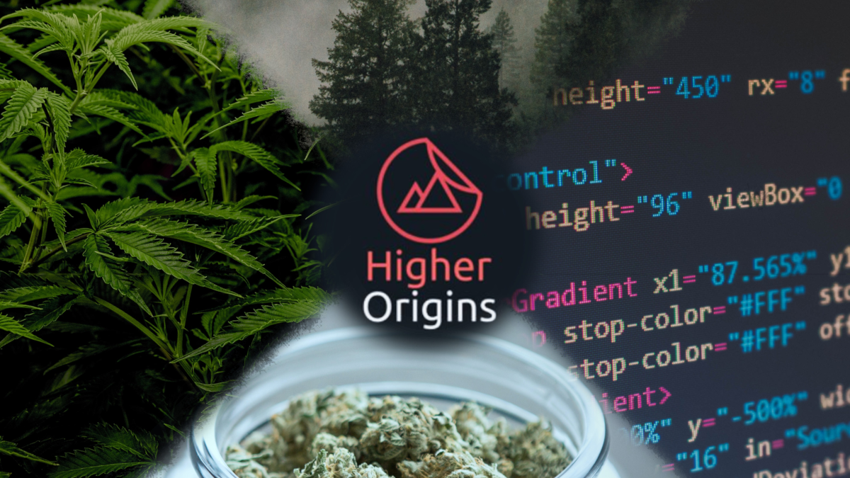banner image for the article The Higher Origins Mission