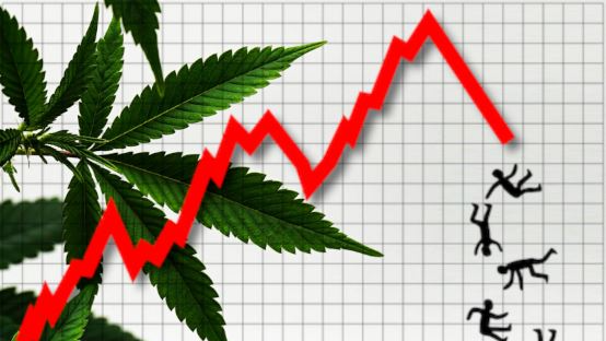 banner image for the article State of The Industry- 5 Trends We’ve Noticed