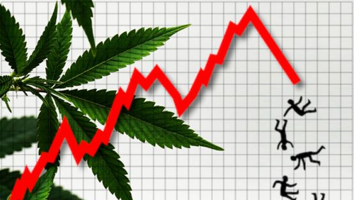 banner image for the article