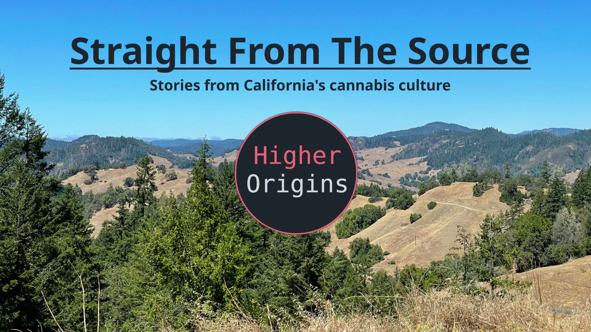 Pilot: What is Straight From The Source?
