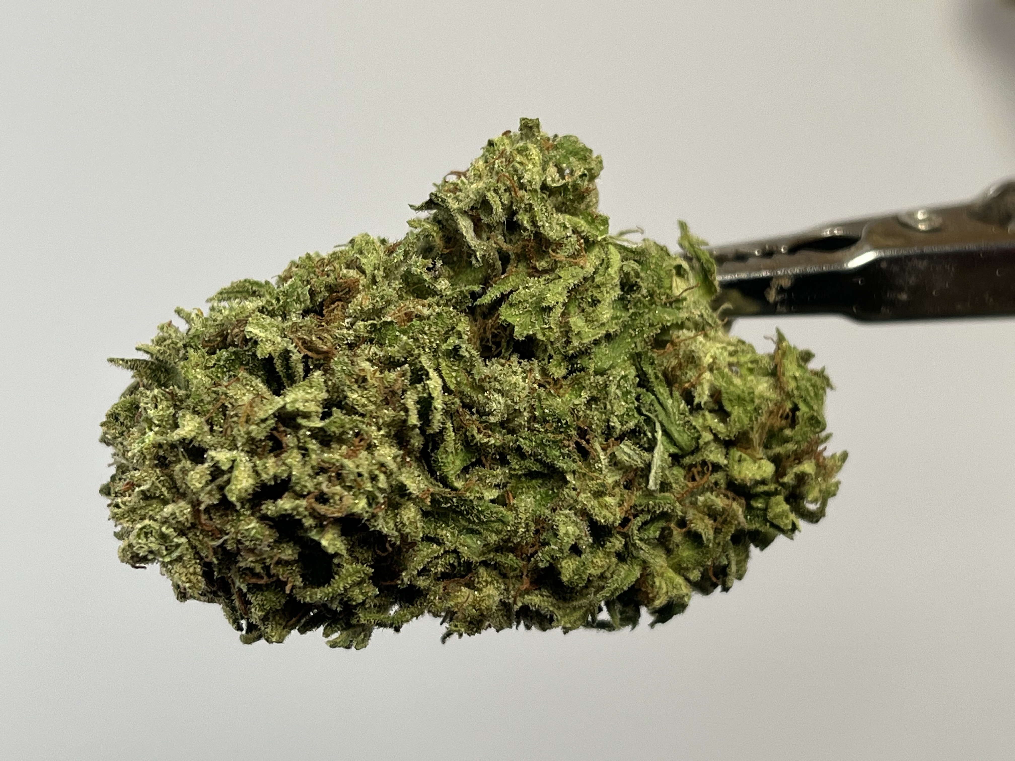 default image for Mystic Lights 3.5g Flower from Mendo Mystic