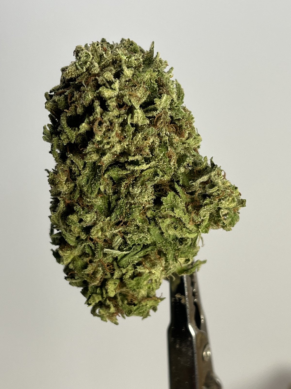 default image for Mystic Lights 3.5g Flower from Mendo Mystic