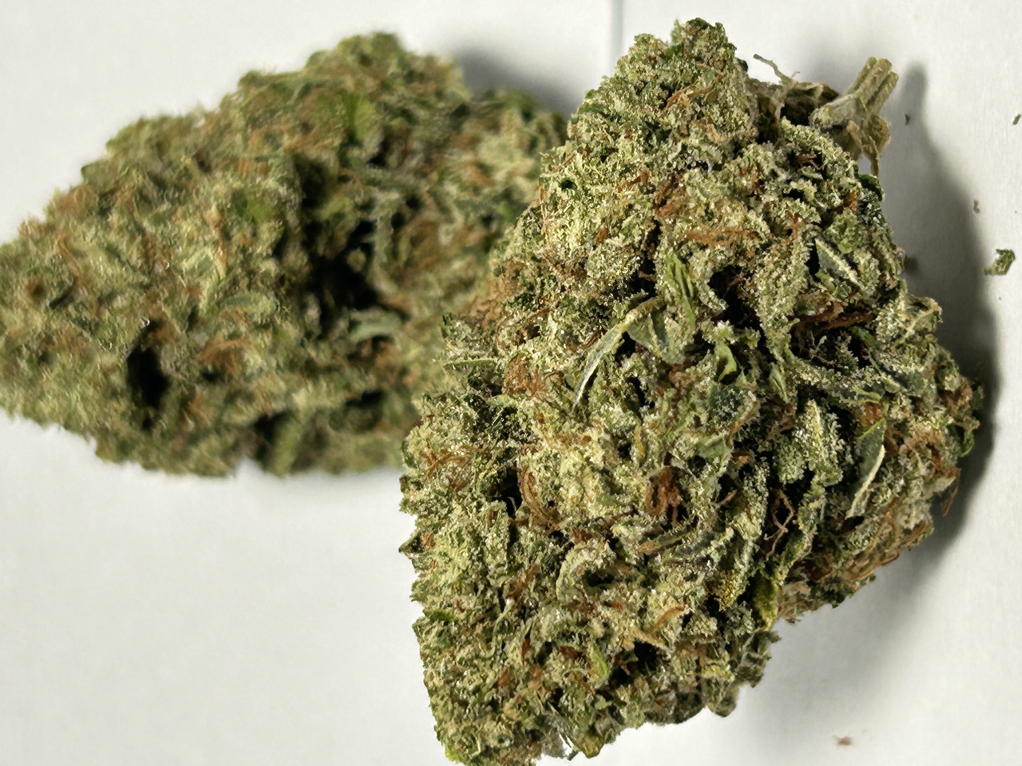 default image for Melon Drop 3.5g Flower from Maui Ben Farms
