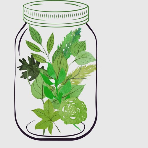 default image for Green Herbs 3.5g Jar from Mary Jane Herb Co