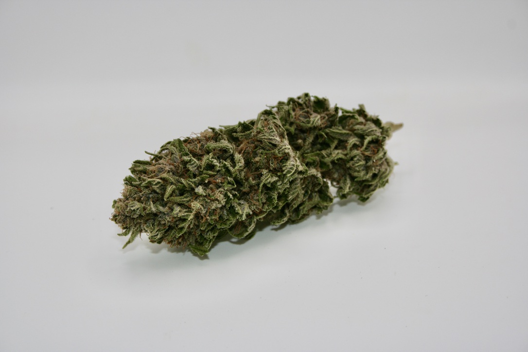 default image for Jack Mormon 3.5g Flower from Mendo Mystic