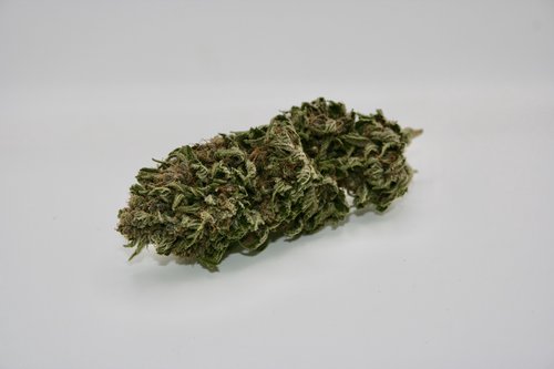 default image for Jack Mormon 3.5g Flower from Mendo Mystic