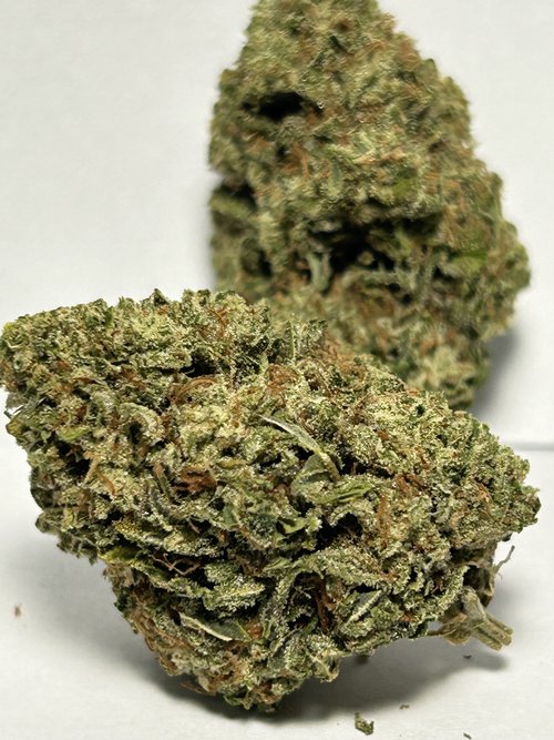 default image for Melon Drop 14g Flower from Maui Ben Farms