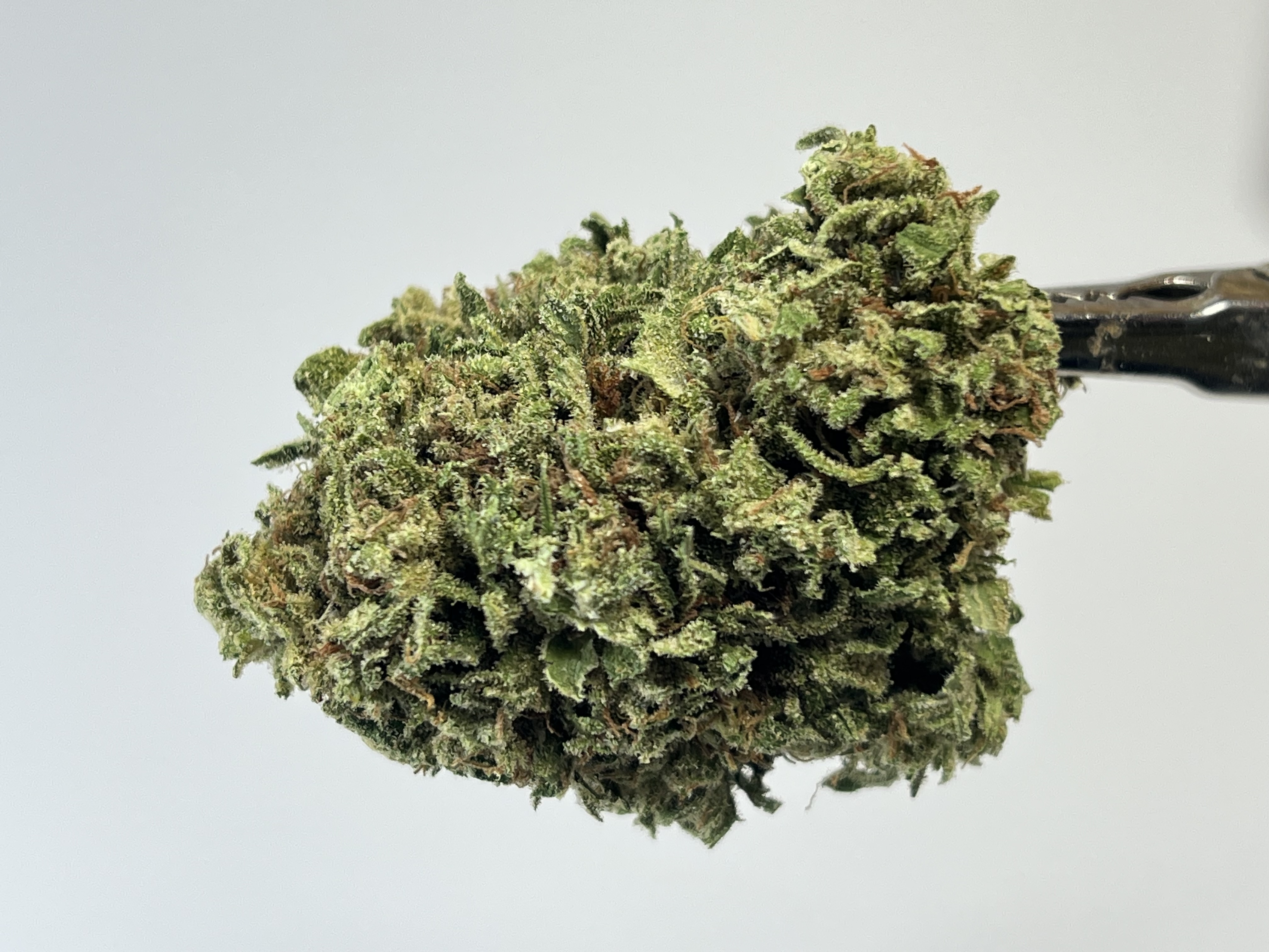 default image for Guerrilla Haze 3.5g Flower from Mendo Mystic